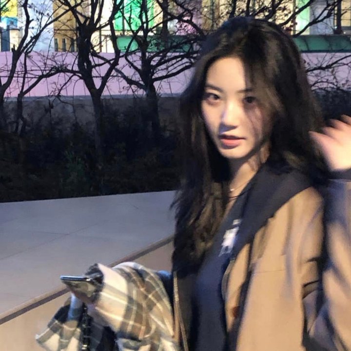 蔷薇少女